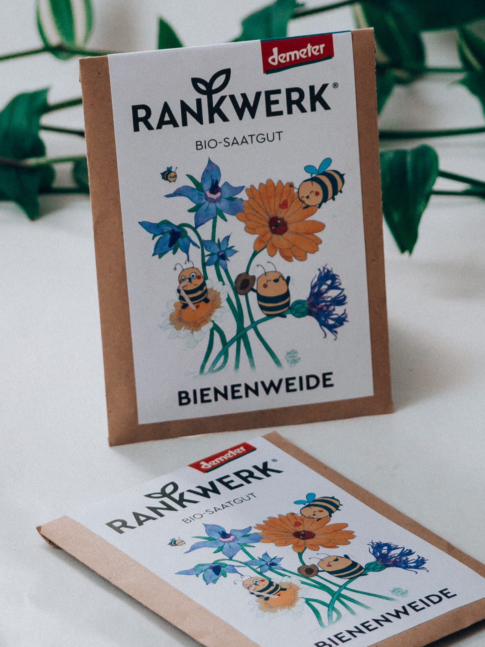 Rankwerk Saatgut