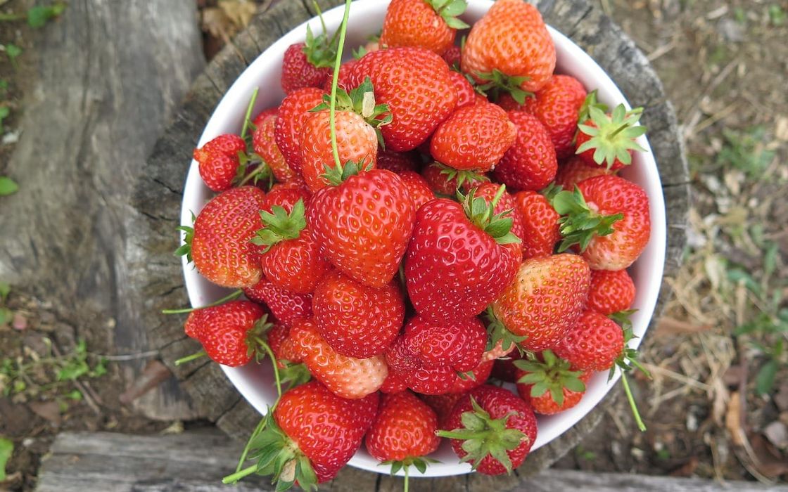 Erdbeeren aus Spanien, Marokko, Andalusien? - Warum die Vorfreude unbedingt bis Mai anhalten sollte!