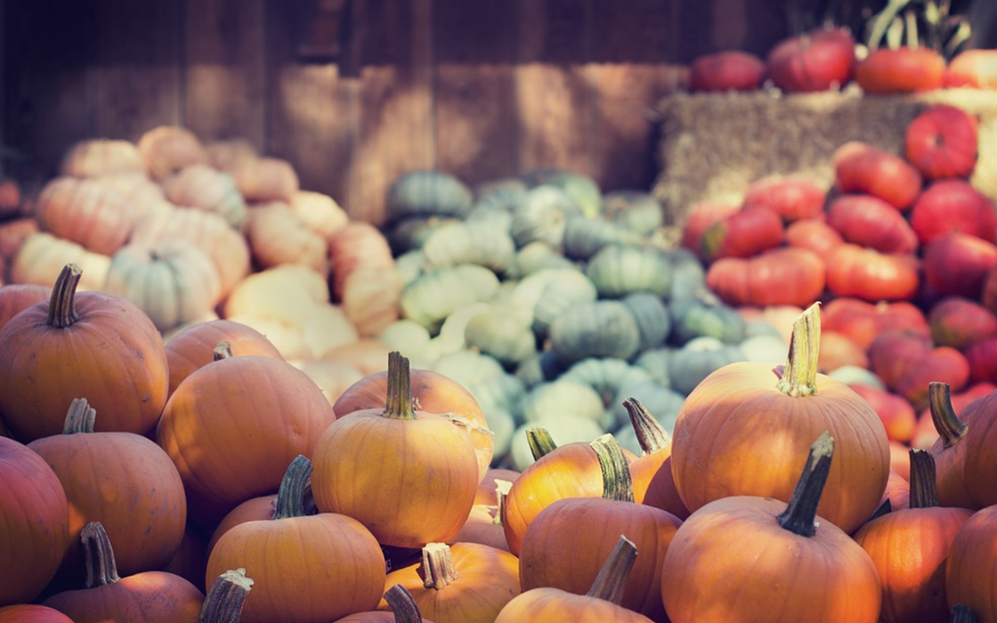 Herbstzeit ist Kürbissuppenzeit