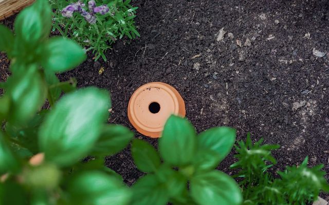 DIY Bewässerungssystem - Ollas selber machen