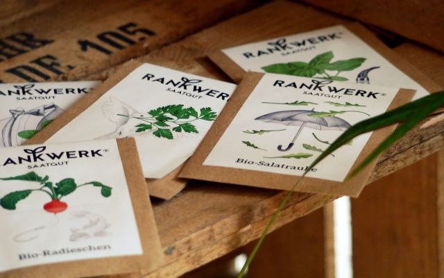Rankwerk - Gewinne eigenes Bio-Saatgut für dein Zuhause!